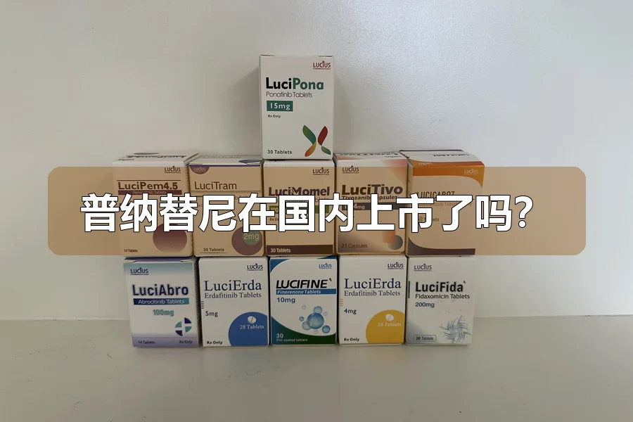 普纳替尼在国内上市了吗？