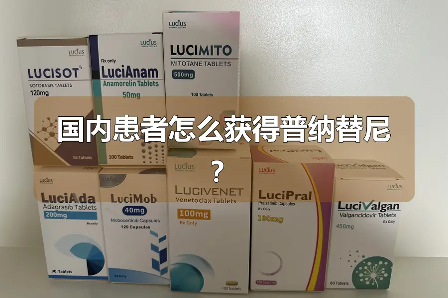 国内患者怎么获得普纳替尼？